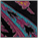 Black&Pink-Paisley