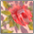 Red Floral